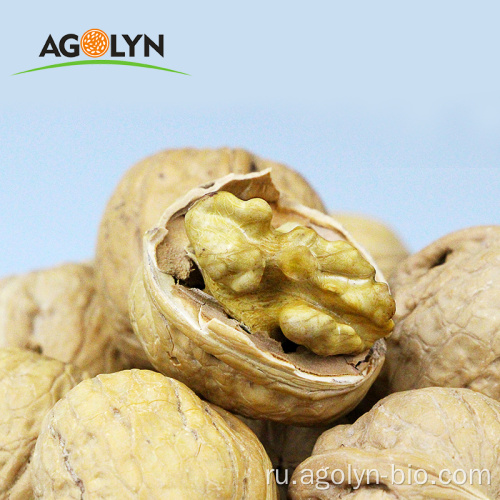 Топ-класс Agolyn Top Grade Swear Walnuts с оболочкой